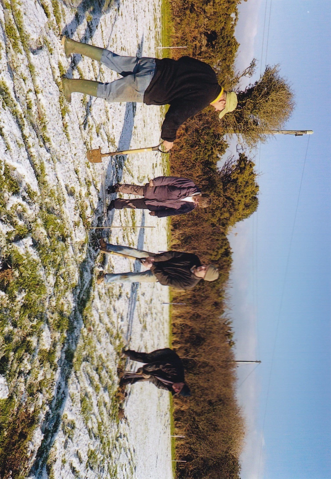 IMG_20241121_0027.jpg
